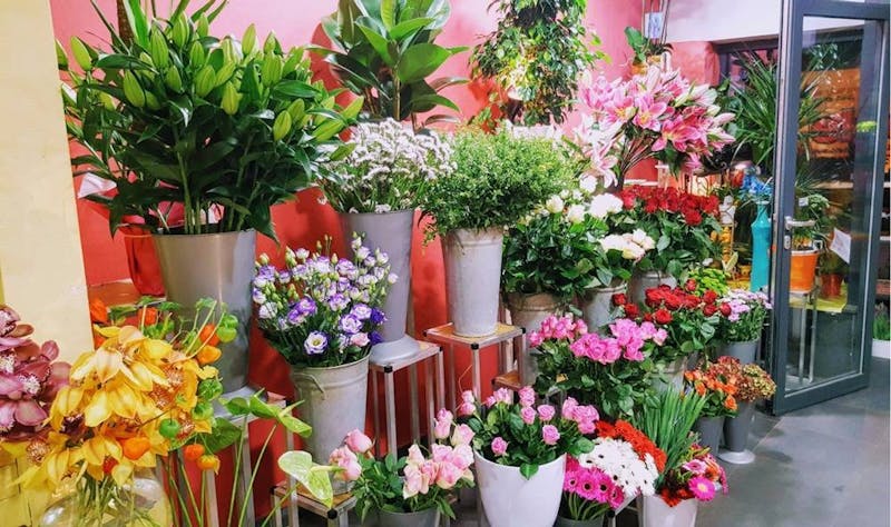Photo de Exotic Garden
