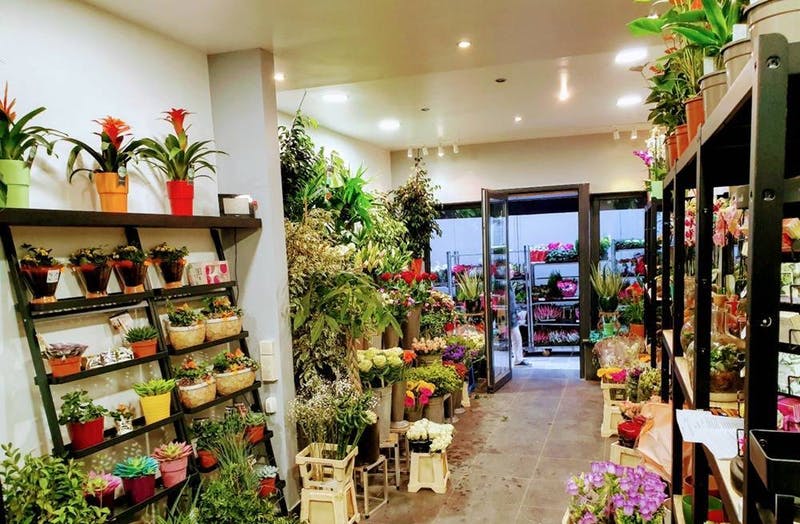 Photo de Exotic Garden