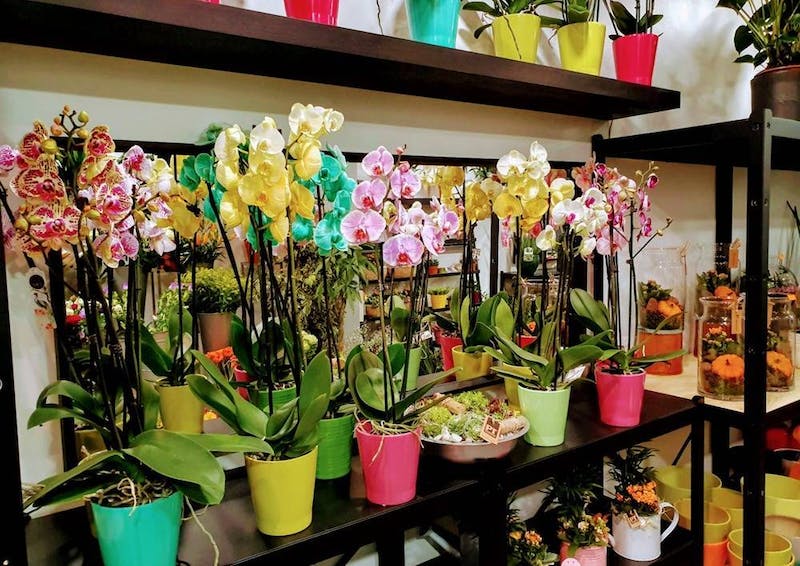 Photo de Exotic Garden