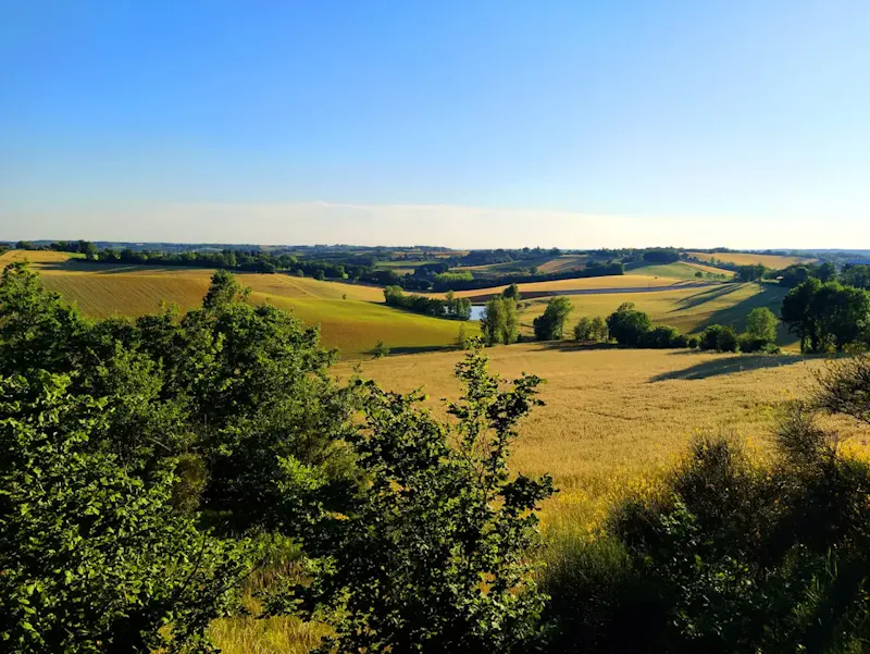 a view of a field with trees and grass | Photo by Ze Fisch, on https://unsplash.com/@zefisch?utm_source=centralapp&utm_medium=referral