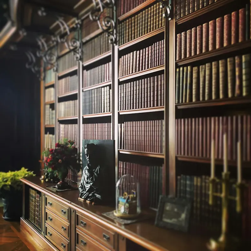 books in brown bookshelf | Immagine di Clint McKoy, su https://unsplash.com/@clintmckoy?utm_source=centralapp&utm_medium=referral