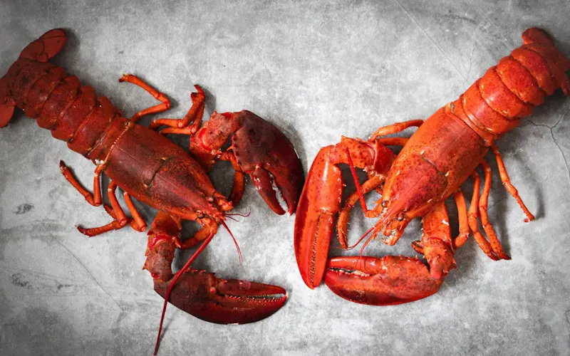 a couple of lobsters laying on top of a table | Photo by Monika Borys, on https://unsplash.com/@fotoinshadows?utm_source=centralapp&utm_medium=referral
