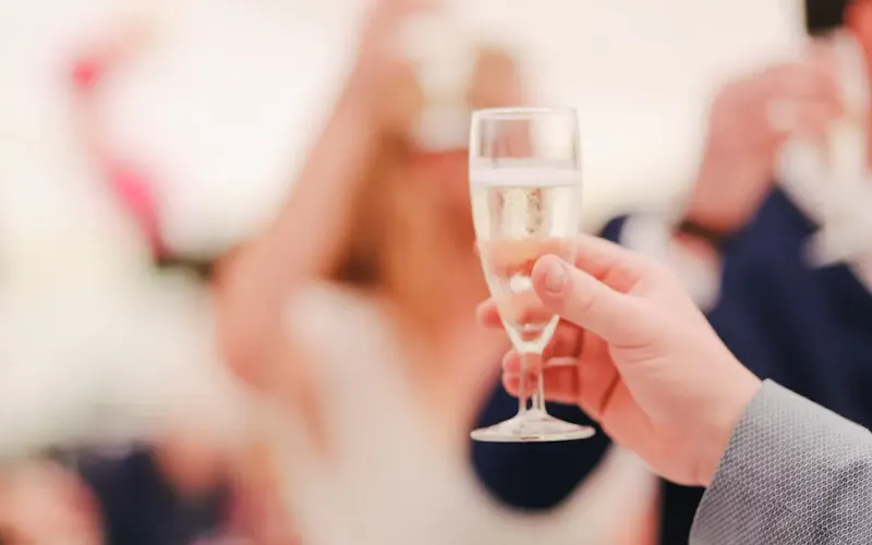 Image of Alexander The Great Restaurant person holding wine glass | Photo by Photos by Lanty, on https://unsplash.com/@photos_by_lanty?utm_source=centralapp&utm_medium=referral