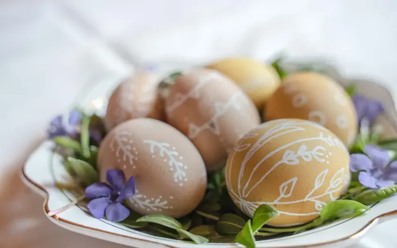 brown egg on white ceramic plate | Immagine di Michal Balog, su https://unsplash.com/@mikbutcher?utm_source=centralapp&utm_medium=referral