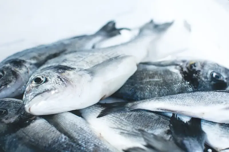 Image of MESÓN GALICIA pile of gray fishes | Photo by Jakub Kapusnak, on https://unsplash.com/@foodiesfeed?utm_source=centralapp&utm_medium=referral