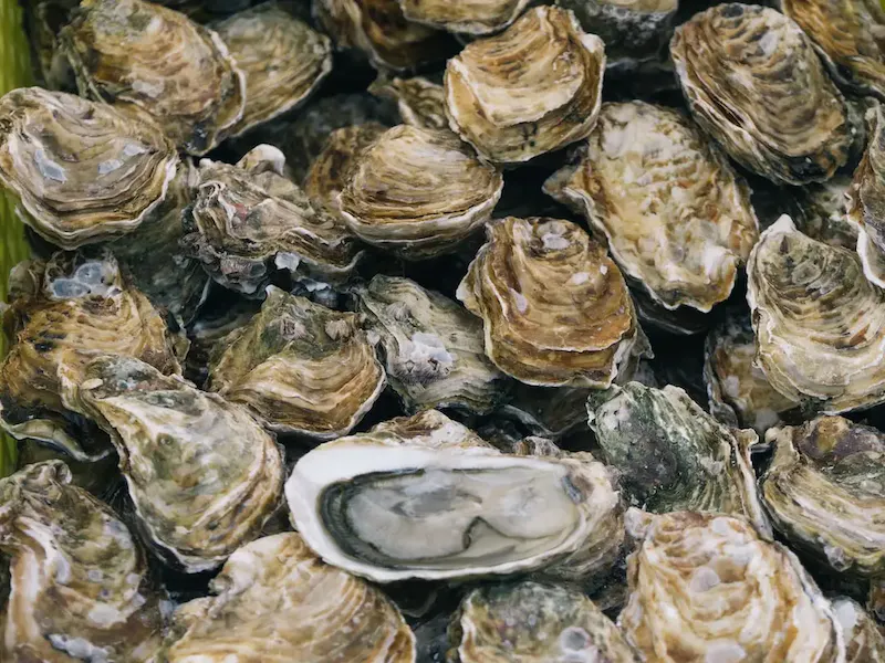 Une expérience inégalée pour les amoureux des fruits de mer