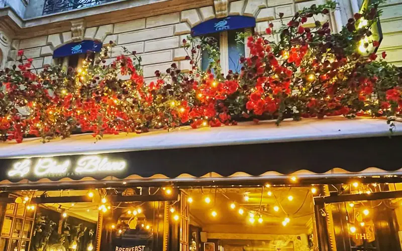 Image of Le Chat Blanc