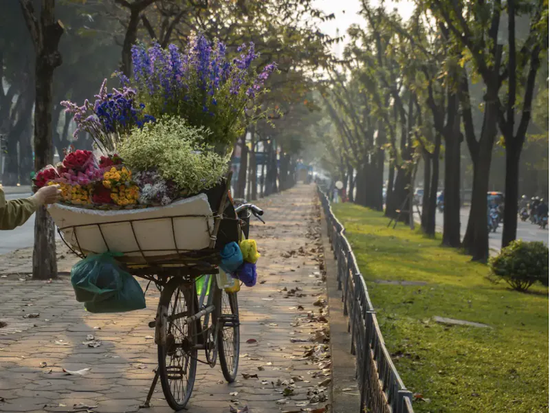 Eco-responsible delivery Because every action counts, our deliveries are made on foot, by bicycle or by cargo bike, to limit the carbon impact and preserve our beautiful planet.