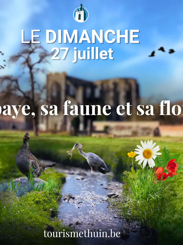 27 juillet - L'Abbaye, sa faune et sa flore