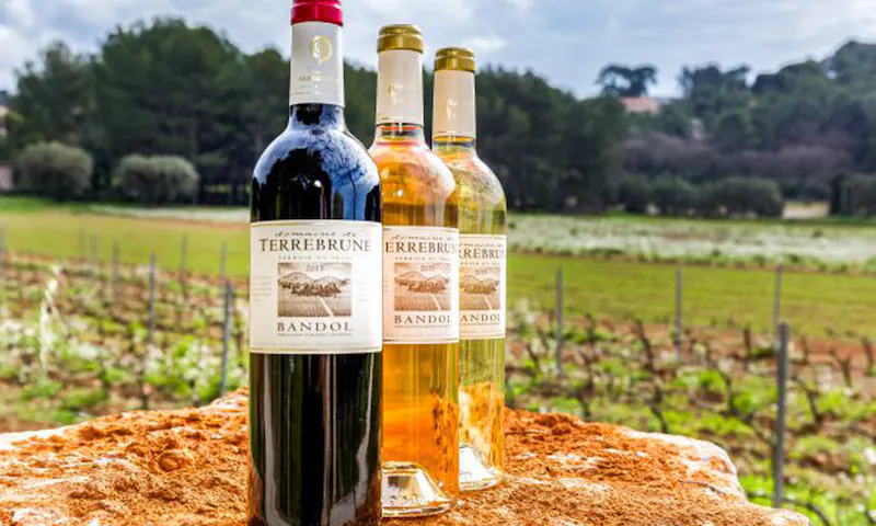 Image of Cave Vino Sapiens Image of Cave Vino Sapiens