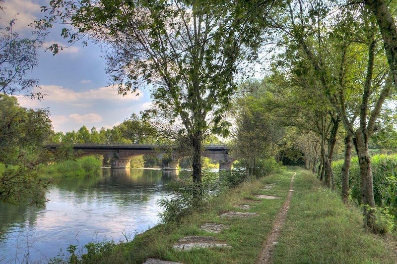 Foto di La Zanzarina D'Oro