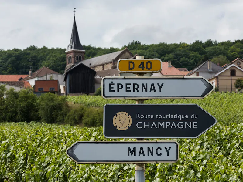 Découvrir le vignoble champenois et ses paysages