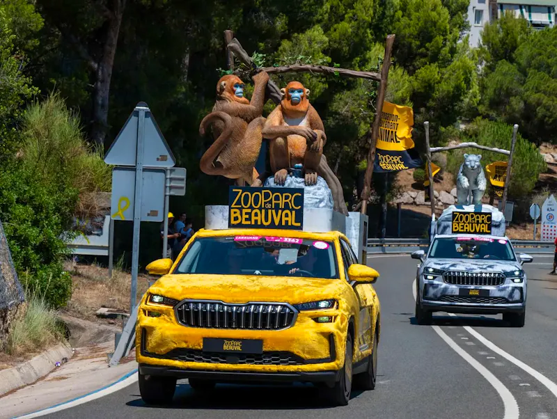 Colorful parade cars decorated with animal figures in vibrant outdoor setting. | Photo by Christian Palau, on https://www.pexels.com/@christian-palau-579567521?utm_source=CentralApp&utm_medium=referral