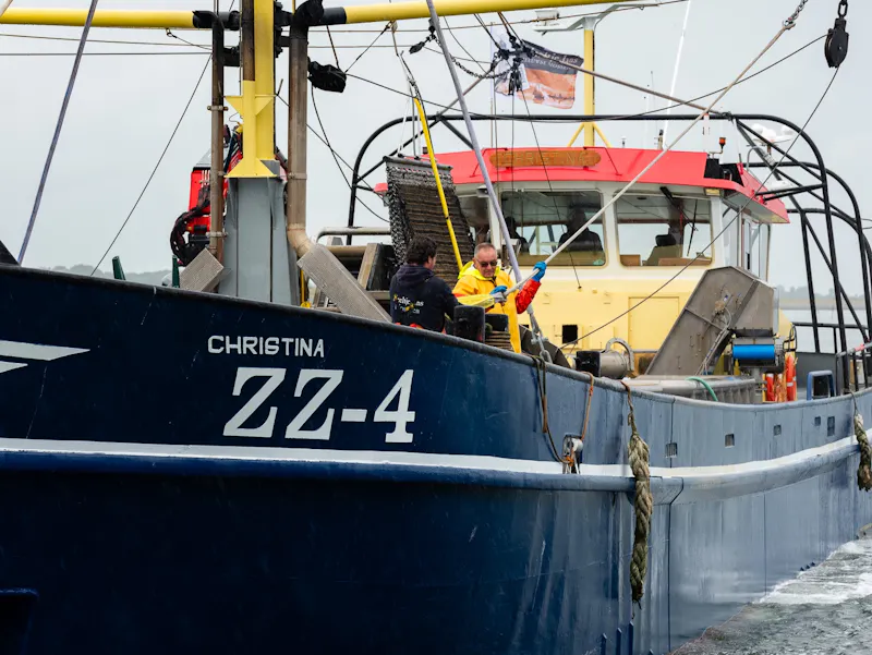 Image of L'Horizon
