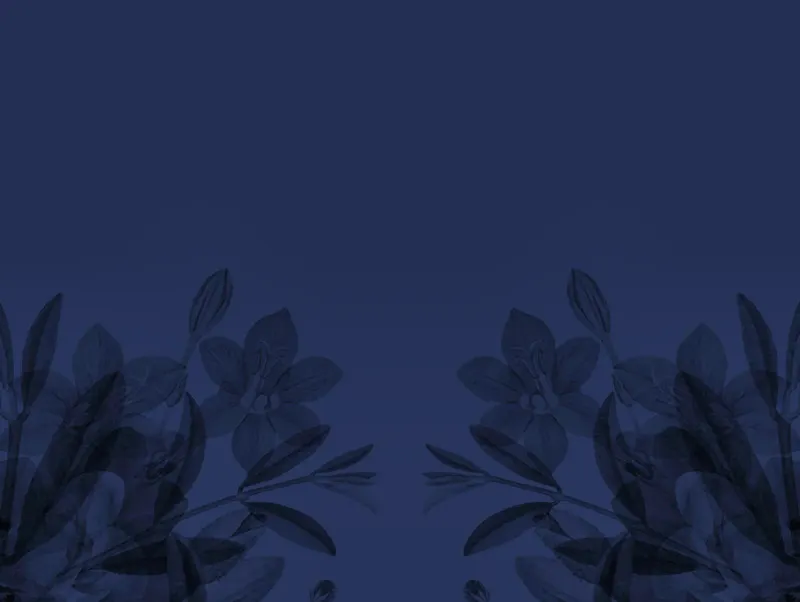 Menu PDF