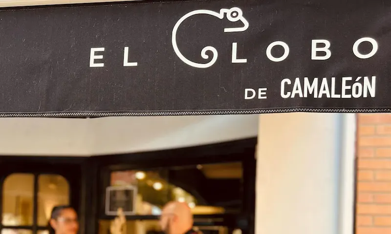 Fotografía de La Familia Camaleón Fotografía de La Familia Camaleón
