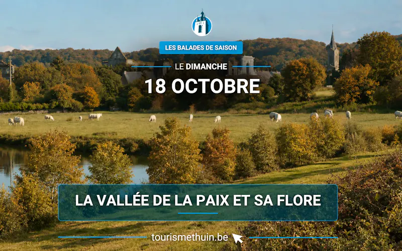 Image of Office du Tourisme de Thuin