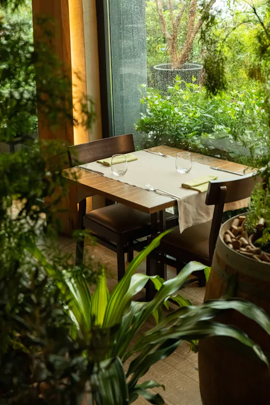 ristorante design piante interni