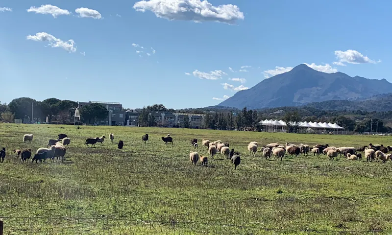Photo de  La Bergerie