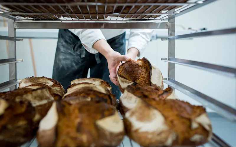Image of LEVAIN
