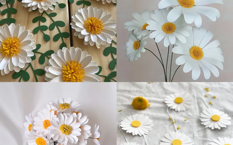 Photo de Le Rancard