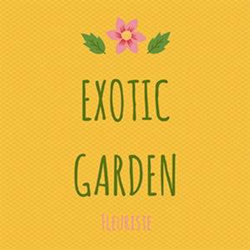 Photo de Exotic Garden