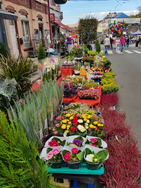 Photo de Exotic Garden