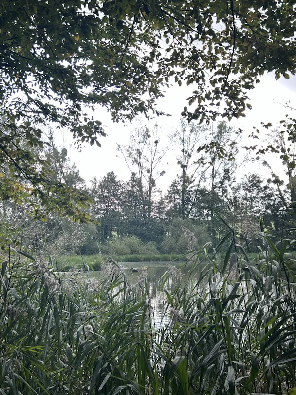 3024x4032_gallery_fe4247a020c04c848eb25139e9537746.webp