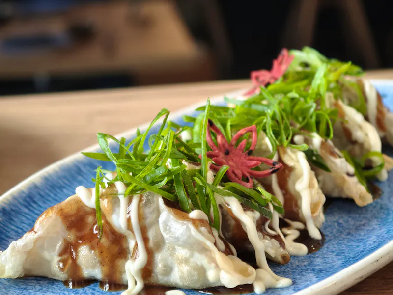 Gyoza Hiroshima: The Crunchy Whisper of the Orchard, Hiroshima-style Fried
