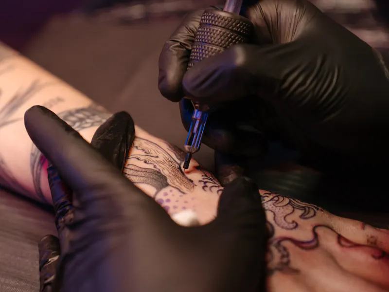 Photo de Fox Famil'ink