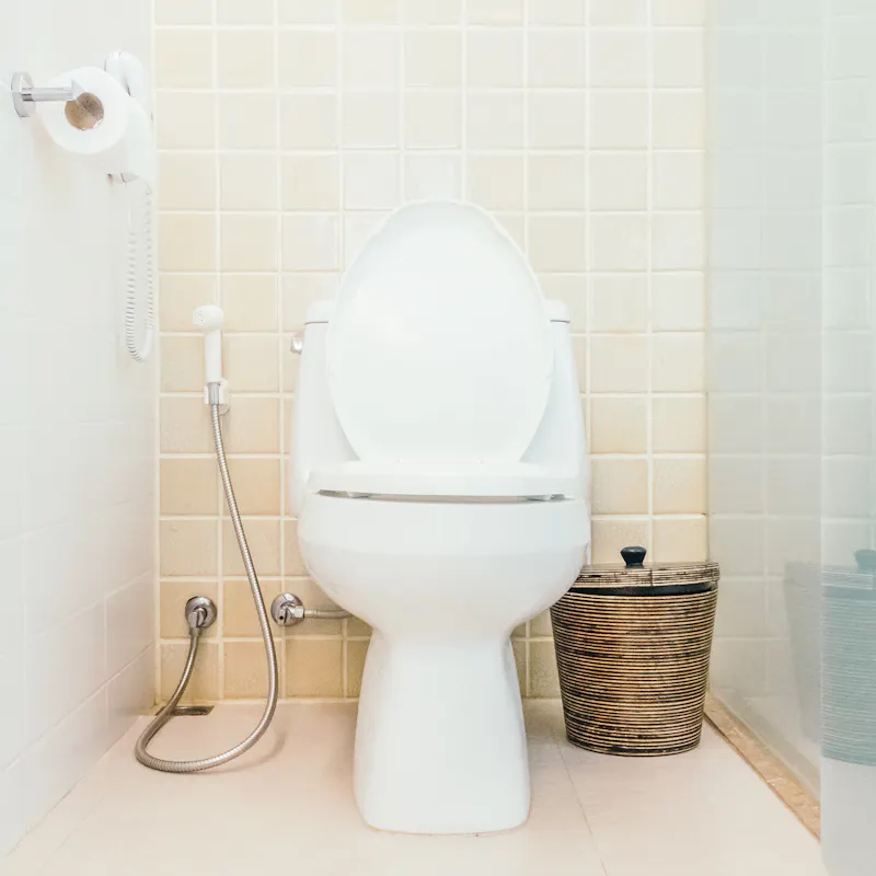 Installation / Réparation de toilettes