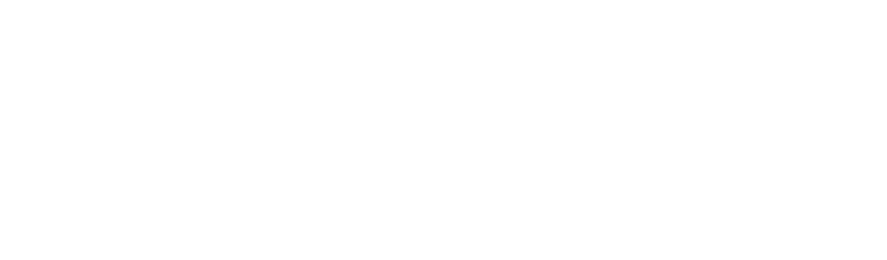 Image of Spaghetti