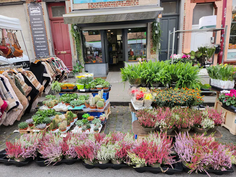 Photo de Exotic Garden