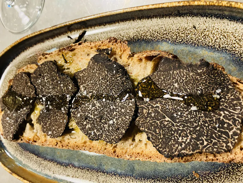 La truffe noire du Périgord est un véritable cadeau de la nature, mais elle ne se laisse pas apprivoiser facilement...