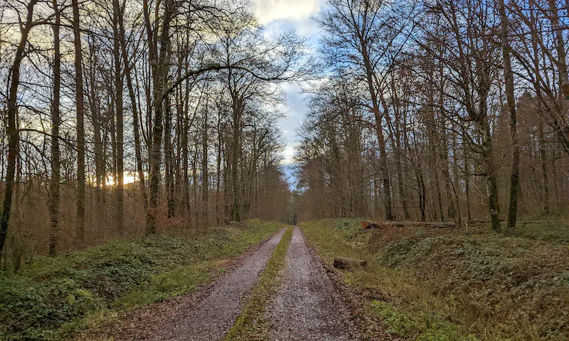 Foto vanChâteau de Damblain Foto vanChâteau de Damblain