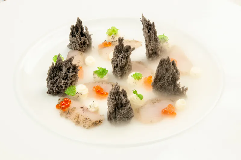 salmerino trota salmonata cucina italiana gourmet impiattamento