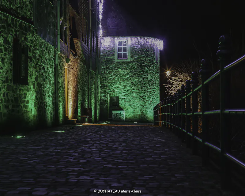 La cité médiévale