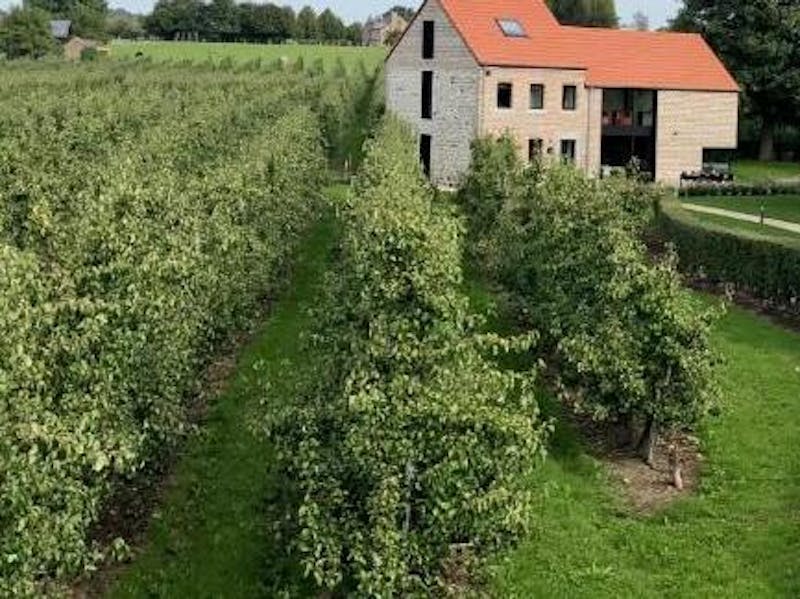 Erleben Sie ländliche Auszeit im Herzen der Obstgärten in Aubel, ein ruhiges Paradies umgeben von üppigen Obstgärten. Komfort, Natur und Privatsphäre garantiert