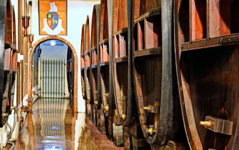 Image of Cave Vino Sapiens Image of Cave Vino Sapiens