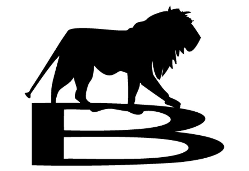 Image of Le Lion Belge