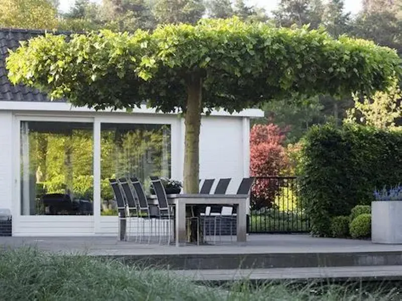 Image of DH - Jardin Design