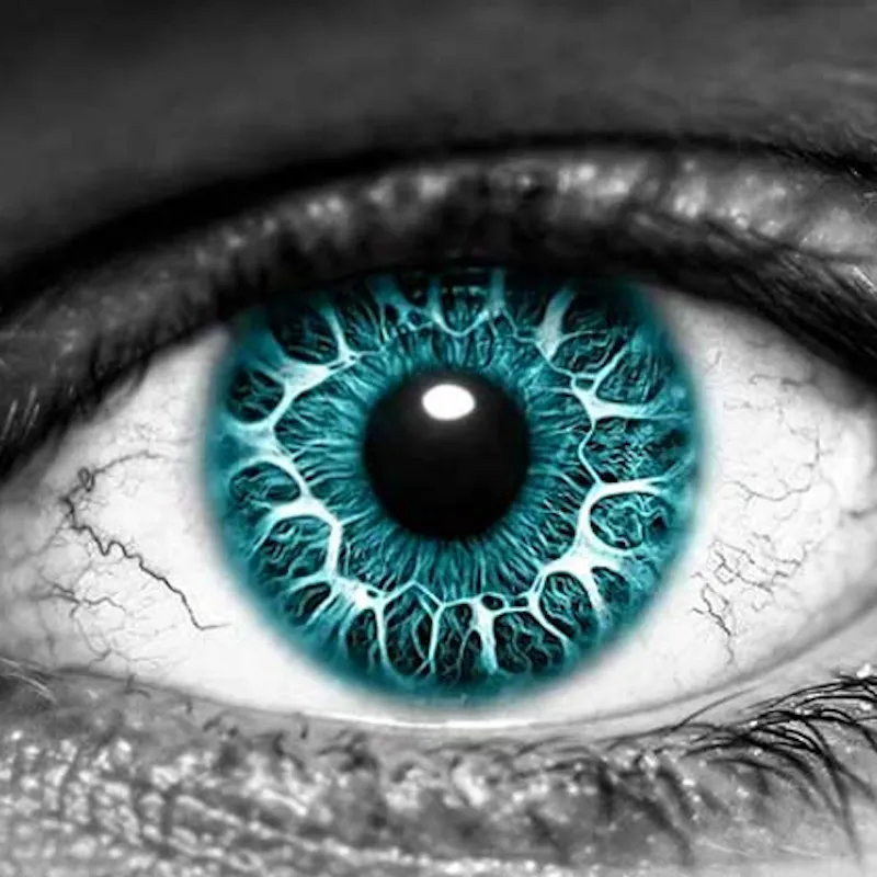 Emdr