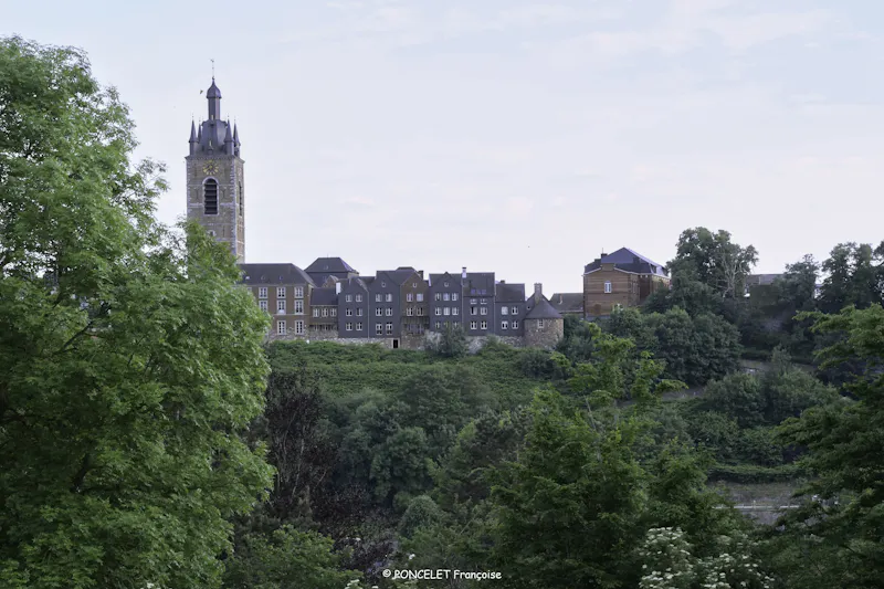 Image of Beffroi de Thuin