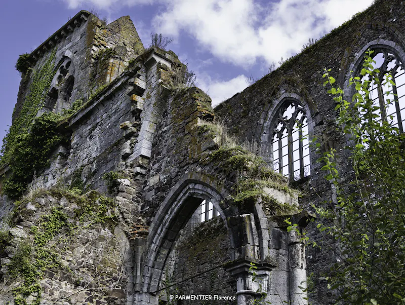 Photo de Abbaye d'Aulne