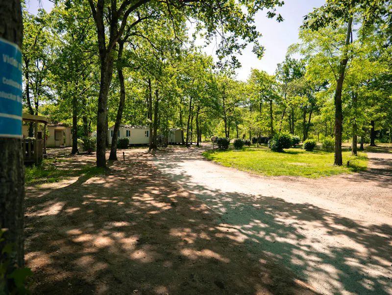 Image of Domaine des Acacias
