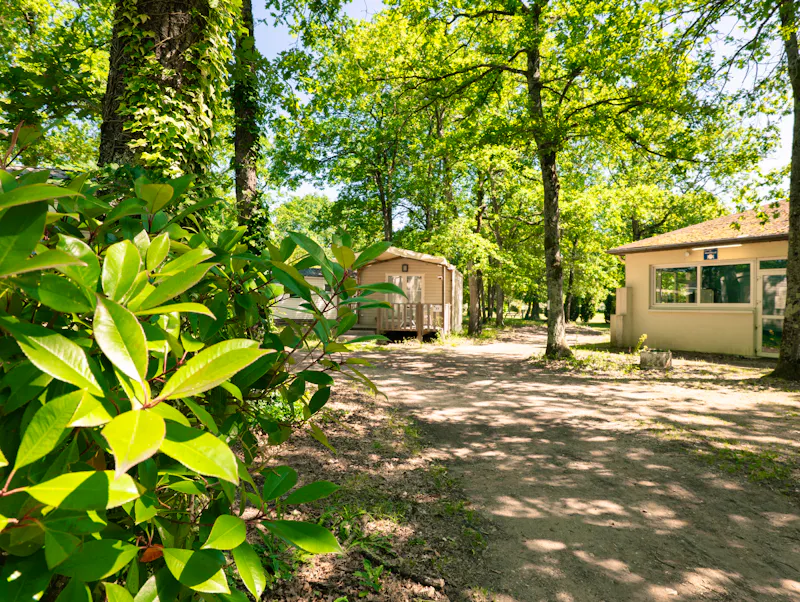 Image of Domaine des Acacias