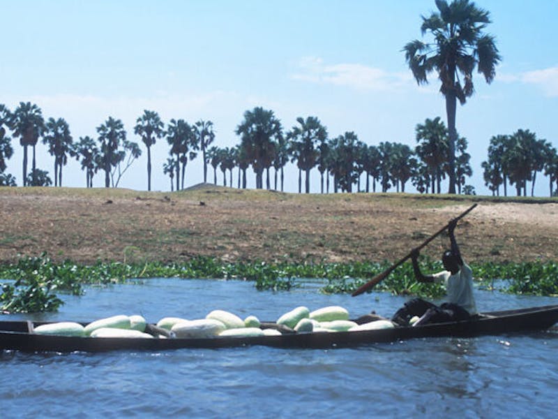 Agriculture
