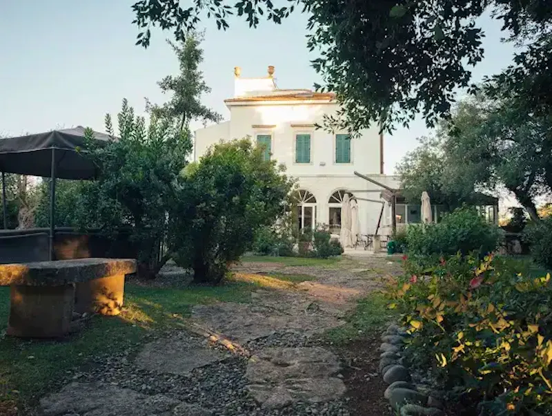 Ristorante Fidelio, Alberobello, giardino, ristorante con giardino, dehors, giardino incantato, cena all'aperto, area esterna, giardino romantico, mangiare fuori, atmosfera estiva, trulli con giardino, relax, spazio aperto, natura, Puglia all'aperto, location con giardino, veranda, giardino privato, oasi nel verde, cena sotto le stelle, ristorante tipico, cucina pugliese, Valle d'Itria, dove mangiare ad Alberobello.