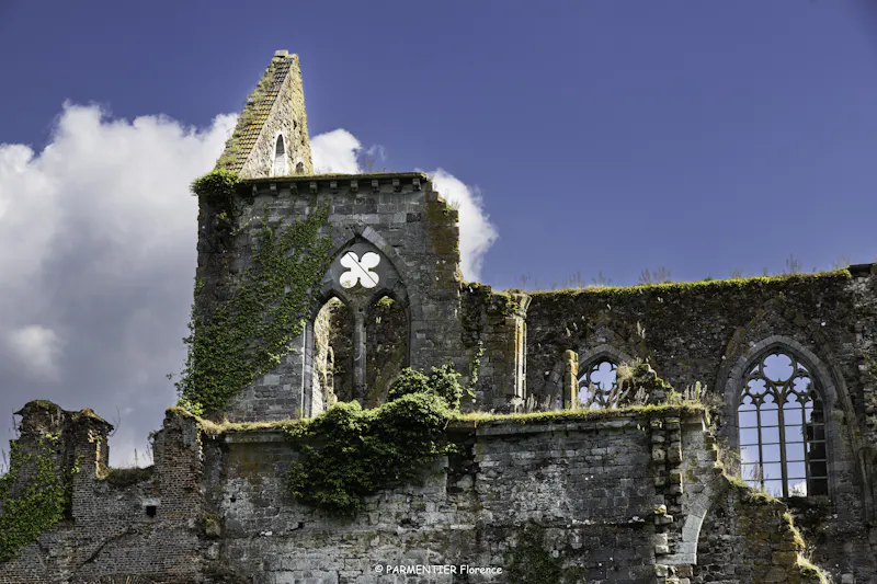 Image of Abbaye d'Aulne