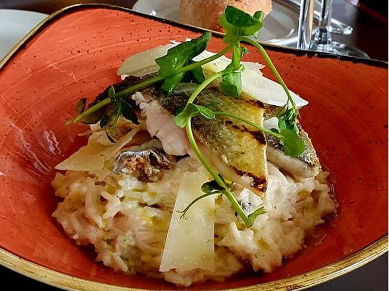 Suggestions and monthly special menu